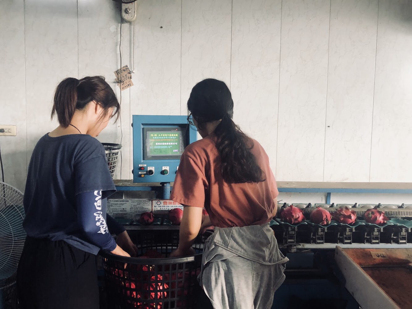 傳承在地關懷精神 創造火紅水果新生命