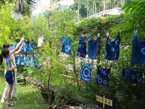 臺中太平青年壯遊點