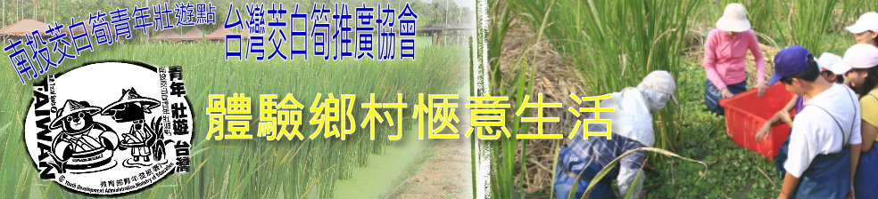 南投茭白筍青年壯遊點