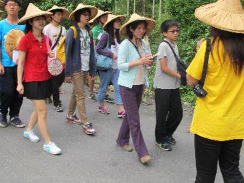 南投茭白筍青年壯遊點