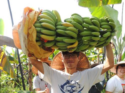 高雄旗山青年壯遊點
