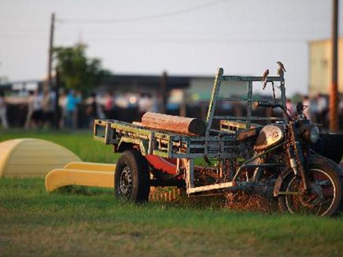 嘉義新港青年壯遊點