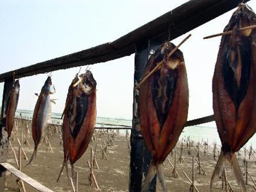 臺南社區體驗青年壯遊點