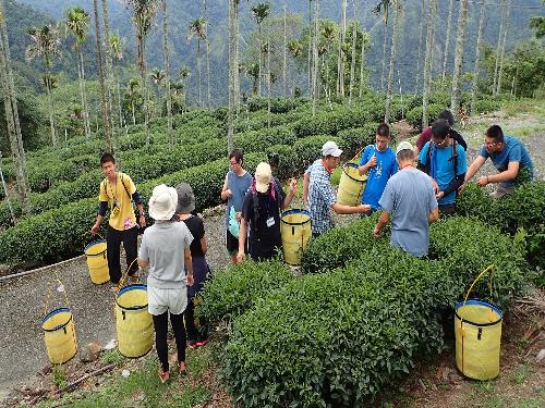台中松鶴青年壯遊點