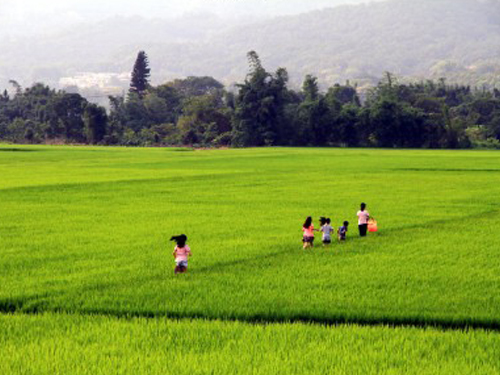 新竹關西儲備青年壯遊點