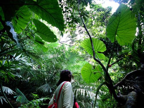 臺東卑南青年壯遊點