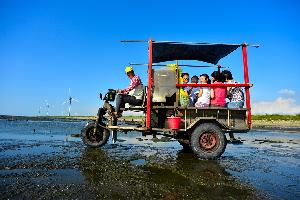 搭蚵車遊潮間帶