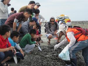觀察石蚵