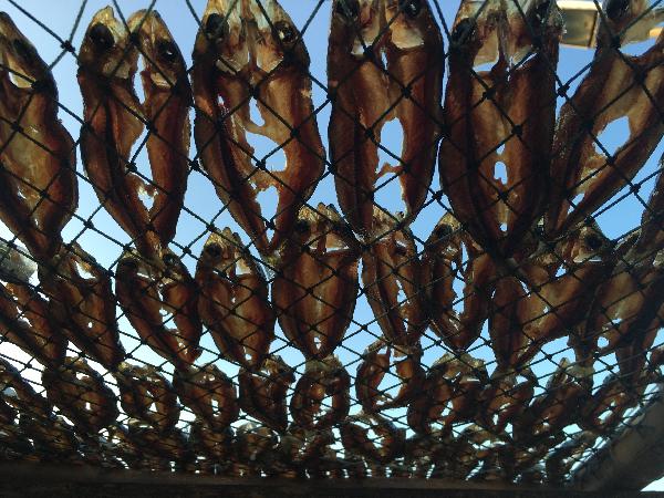 七美漁村的日常