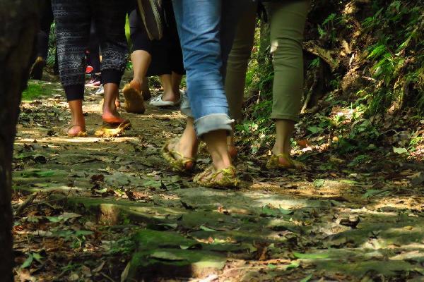 Img:魚路古道賞芒祭